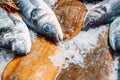 High Angle Still Life of Variety of Raw Fresh Fish Chilling on Bed of Cold Ice in Seafood Market Stall