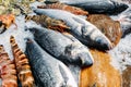 High Angle Still Life of Variety of Raw Fresh Fish Chilling on Bed of Cold Ice in Seafood Market Stall