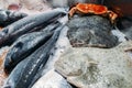 High Angle Still Life of Variety of Raw Fresh Fish including Ray Fish Chilling on Bed of Cold Ice in Seafood Market