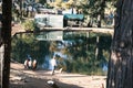 High-angle of a sunlit pond trees around and people walking near