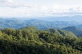 High angle tropical forest, Green forest aerial view and environmental technology concept. Green tech. Ecology. Green Royalty Free Stock Photo