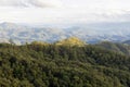 High angle tropical forest, Green forest aerial view and environmental technology concept. Green tech. Ecology. Green Royalty Free Stock Photo