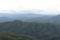 High angle tropical forest, Green forest aerial view and environmental technology concept. Green tech. Ecology. Green Royalty Free Stock Photo