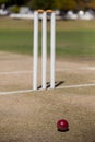 High angle view of ball by stumps on cricket field