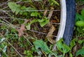 High angle view of bicycles wheel on the ground