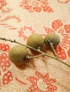 High angle view of a bunch of Longan Dimocarpus longan on red background.