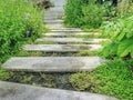 Concrete Blocks Walk Way in the Garden Royalty Free Stock Photo