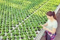 Confident female botanist examining seedlings in plant nursery