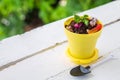 High angle view a cookie crumbs in a yellow pot decorated with worm jelly, chocolate gravel and pepermint with toy shovel on white