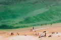 High angle view of crowded beach in the Island of Re