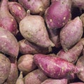 High angle view of dusty sweet potatoes