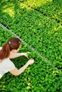 High angle view of female botanist examining seedlings in plant nursery