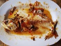 Food Leftover of Sweet and Spicy Mackerel showing Fishbones Royalty Free Stock Photo