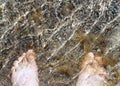 High angle view of foots standing in the sea Royalty Free Stock Photo