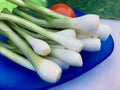 High angle view of fresh spring onions on a blue plate Royalty Free Stock Photo