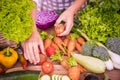 High angle view of fresh vegetables on kitchen counter while chef holding fresh tomatoes in hand. Healthy organic vegetables on Royalty Free Stock Photo