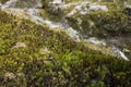 High angle view of the grass and the stones around the waterfall in Kinkakuji, Kyoto, Japan Royalty Free Stock Photo