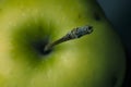 High Angle View Of Green Apple . Macro Shot Royalty Free Stock Photo