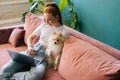 High-angle view of happy young woman shopping online using laptop sitting on comfortable sofa cuddling pretty white Royalty Free Stock Photo