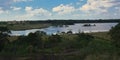 High angle view on heathland and fen in Kalmthouth heath nature reserve