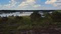 High angle view on heathland and fen in Kalmthouth heath nature reserve