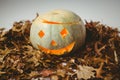 High angle view of illuminated jack o lanterns with autumn leaves