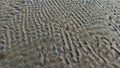 High-angle view of natural rippled sand texture on a beach Royalty Free Stock Photo