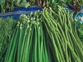 Piles of Various Kinds of Fresh Green Vegetables for Sale at Market Stall