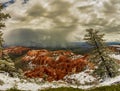 High angle view of the red rocks under the cloudy sky in the Bryce Canyon National Park, Utah, USA Royalty Free Stock Photo