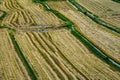 High angle view of rice fields after harvesting Royalty Free Stock Photo