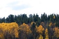 High angle view of a rich vegetative land