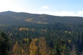 High angle view of a rich vegetative land