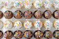 Rows of chocolate and vanilla cupcakes Royalty Free Stock Photo