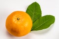 High angle view of single mandarin orange with leaves on white background with clipping path Royalty Free Stock Photo