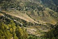 High angle view of small village with terraced field, Uttarkashi District, Uttarakhand, India