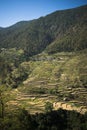 High angle view of small village with terraced field, Uttarkashi District, Uttarakhand, India