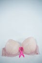 High angle view of spotted pink Breast Cancer Awareness ribbon on bra