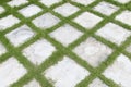 High angle view of square grid concrete stone or marble tile walkway pavement floor with green grass, Use for background and Royalty Free Stock Photo