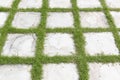 High angle view of square grid concrete stone or marble tile walkway pavement floor with green grass, Use for background and Royalty Free Stock Photo