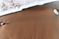 High angle view of stones on beach. Foam on a beach