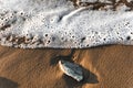 High angle view of stones on beach. Foam on a beach