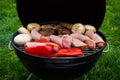 High angle view of succulent steaks,burgers, sausages and vegetables cooking on a barbecue over the hot coals on a green lawn