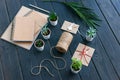 high angle view of succulents in pots, notebooks, palm leaf, rope and envelopes Royalty Free Stock Photo