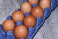 Two rows of brown raw uncooked fresh chicken eggs in purple carton box on grey marble Royalty Free Stock Photo