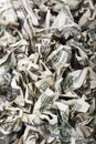 Crimped Cash Background Royalty Free Stock Photo