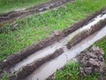 Wet Muddy Wheel Tracks on Green Grass Field