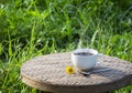 High angle view of a white ceramic cup of black americano coffee on a bamboo basket with sunshine in natural background. Creative Royalty Free Stock Photo