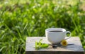 High angle view, a white cup of black americano coffee on a rustic wooden table with a green natural background and morning Royalty Free Stock Photo