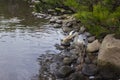 High angle view of a white and grey pelican standing on stones near the river in Hiroshima, Japan Royalty Free Stock Photo