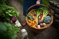 High angle view of wicker basket full of organic vegetables. Royalty Free Stock Photo